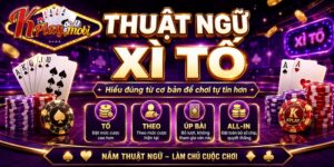 thuật ngữ xì tố